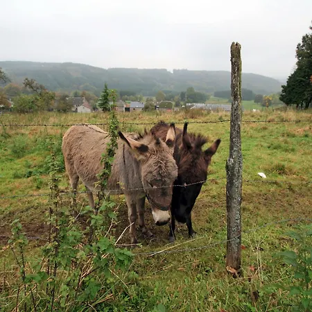 Situated At The Edge Of The Woods Semesterbostad *