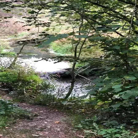 Situated At The Edge Of The Woods *