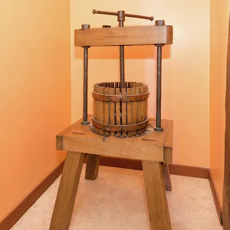 Situated At The Edge Of The Woods