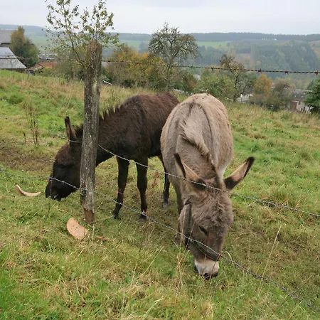 Casa de Férias Situated At The Edge Of The Woods Manhay